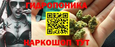 PSILOCYBIN Краснокаменск
