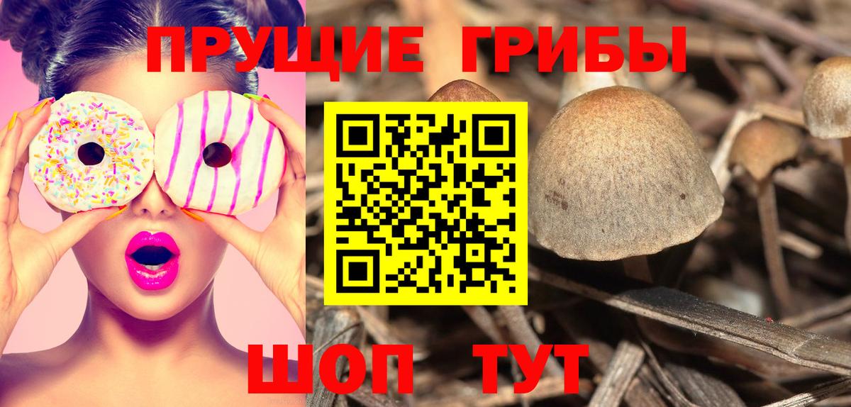 Воркута  Псилоцибиновые грибы Magic Shrooms  Вход с VPN 